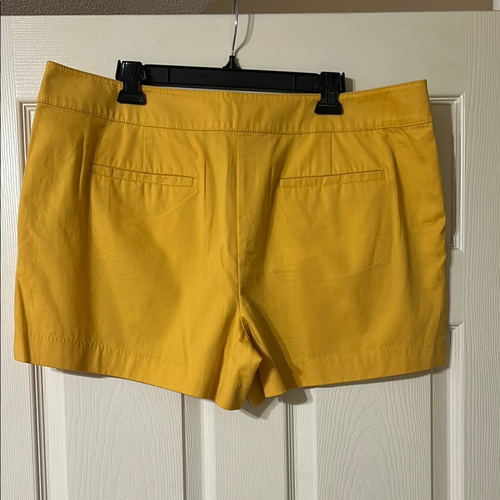 LOFT Shorts - Picture 4 of 7